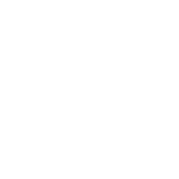 Z Z